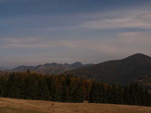 Foto Vedere spre varful Geamana dinspre Detunate (c) Petru Goja